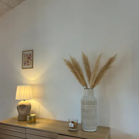 Nyrenoveret,hyggeligt Og Hus