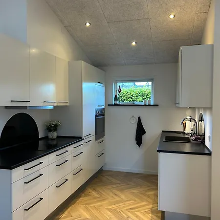 Nyrenoveret,hyggeligt Og Hus